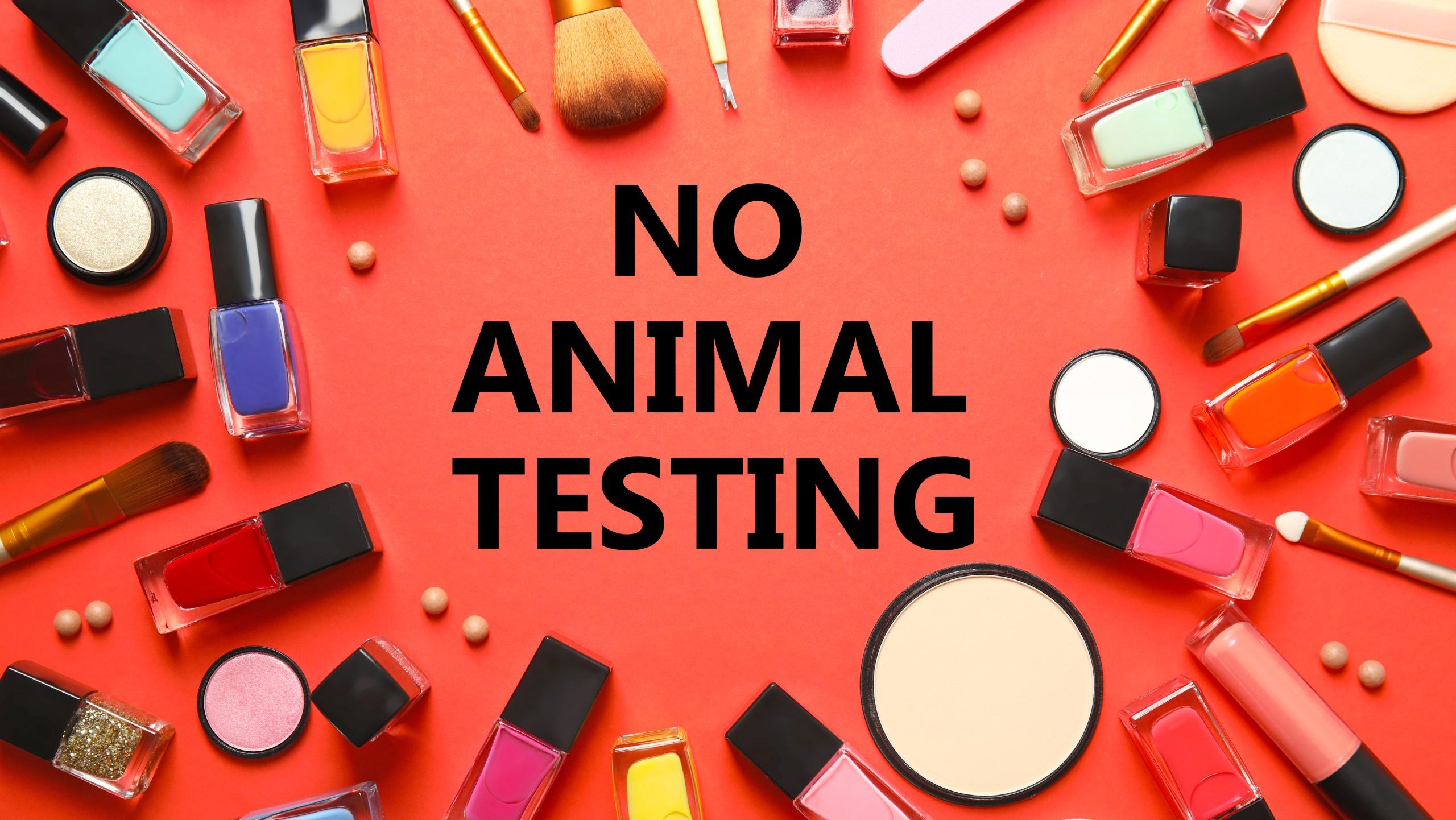 Cosmetic products and text NO ANIMAL TESTING on orange background, flat lay