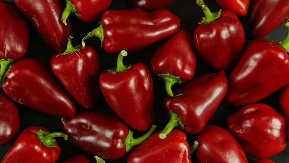 Red peppers on black background