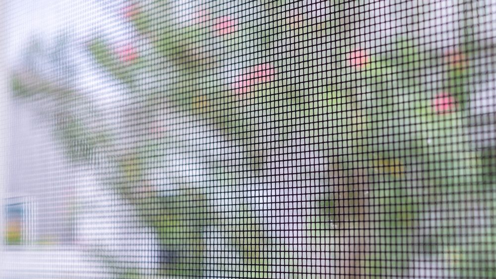mosquito net wire screen on house window protection against insect