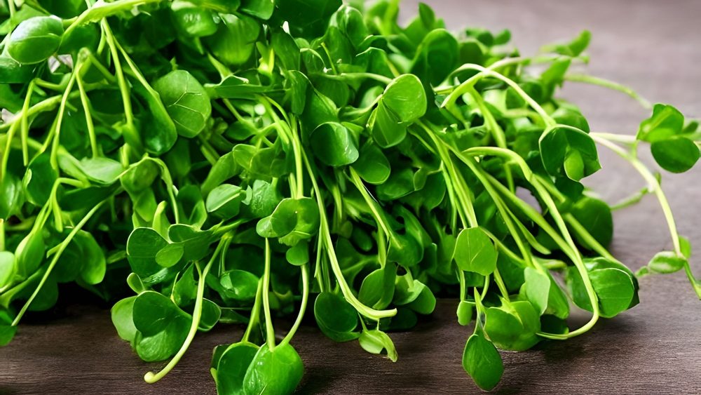 A closeup shot of a Watercress plant