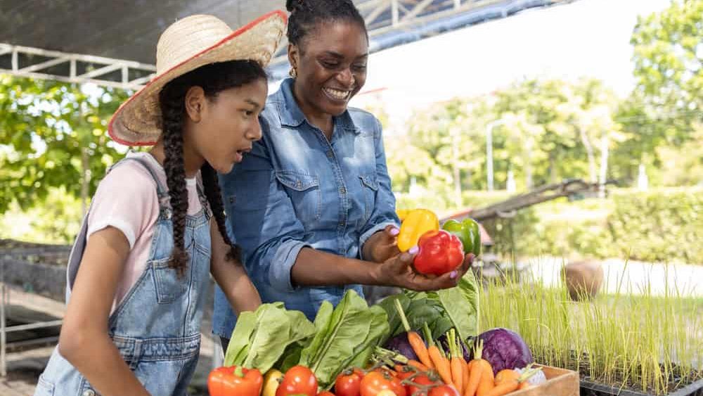 Happy African American woman and girl working together on an organic farm, harvesting fresh vegetables in greenhouse. Healthy lifestyle, family farming, sustainability concept.
