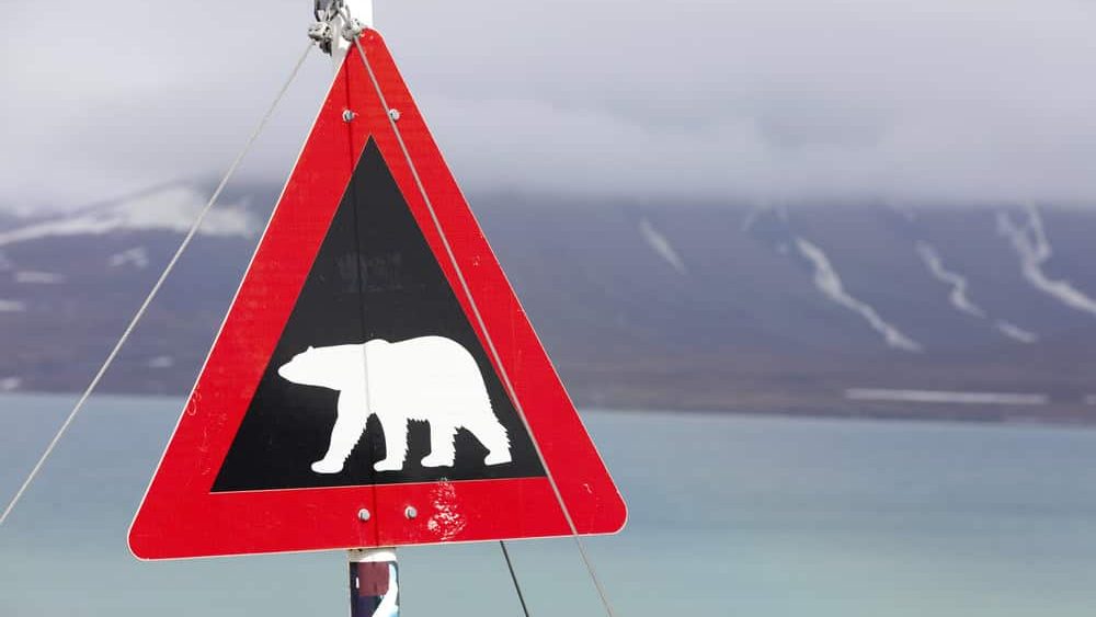 Warning sign for polar bears at Svalbard