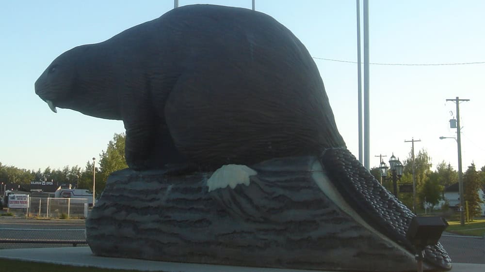 Beaverlodhge beaver statue