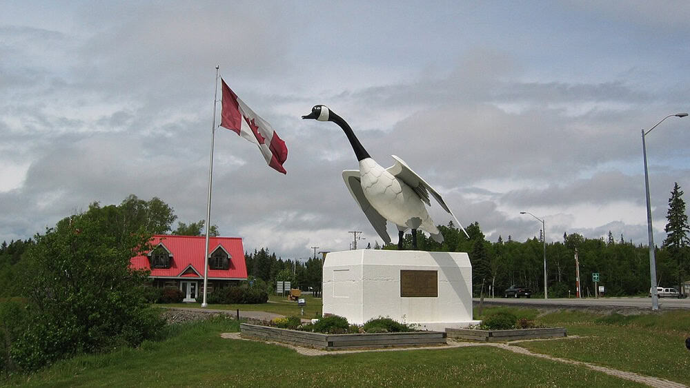 Canada Goose at Wawa Ontario