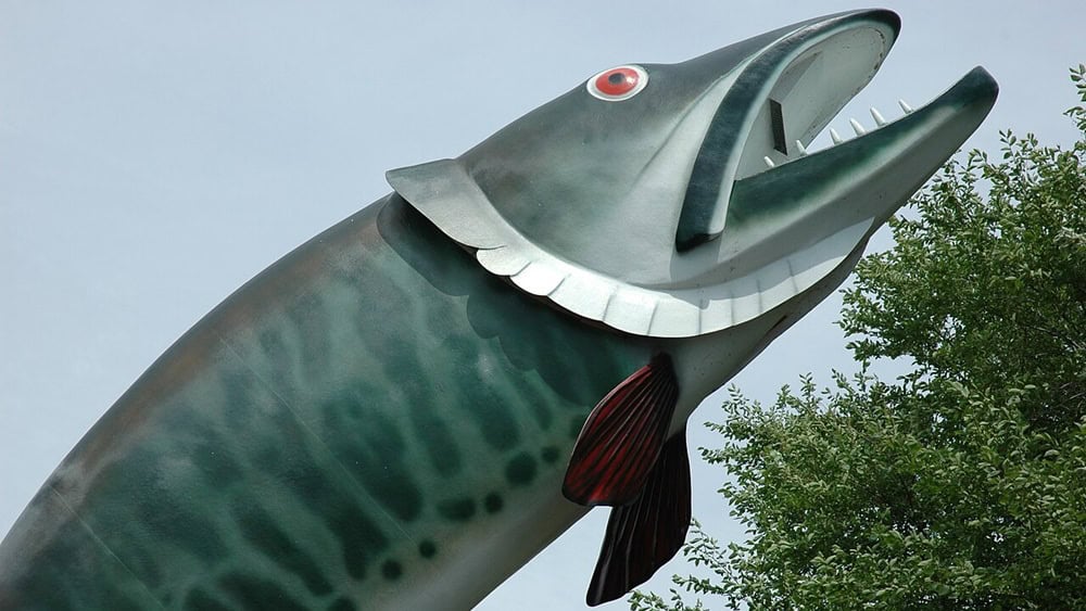 Husky the Muskie, Kenora, Ontario (0082)