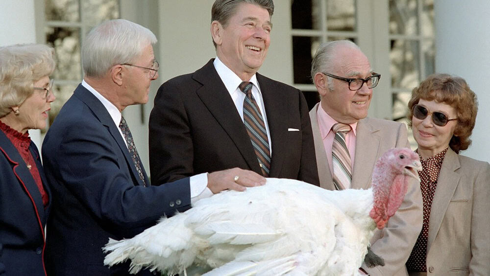11/21/1983 President Reagan attending ceremony to receive the 36th annual Thanksgiving Turkey from representatives of the National Turkey Federation on the South Lawn