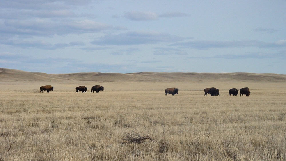 Saskatchewan - Grasslands National Park 02
