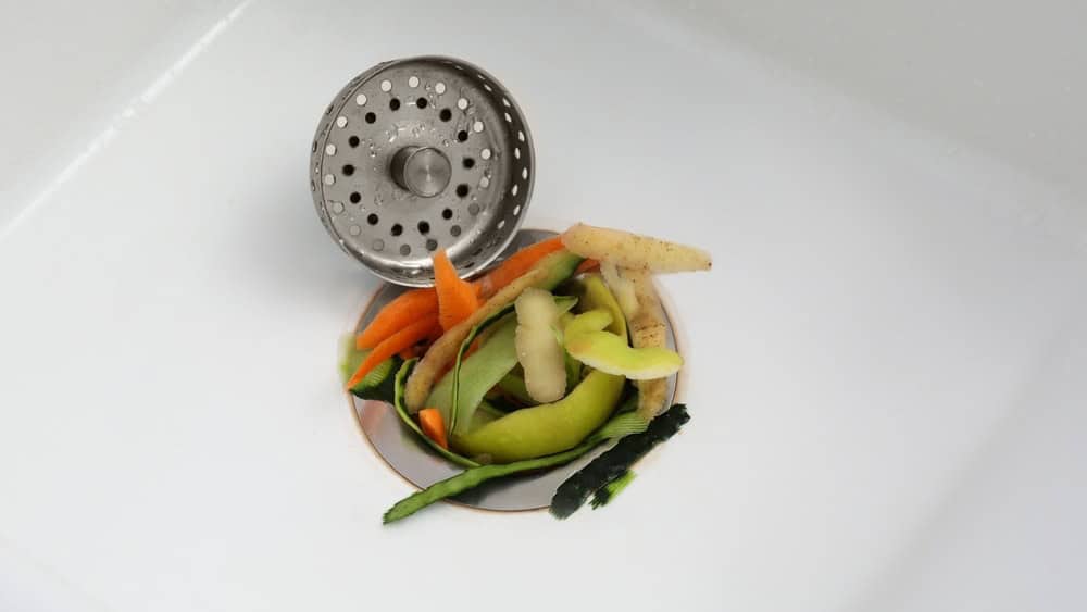 Vegetable scraps in kitchen sink with garbage disposal