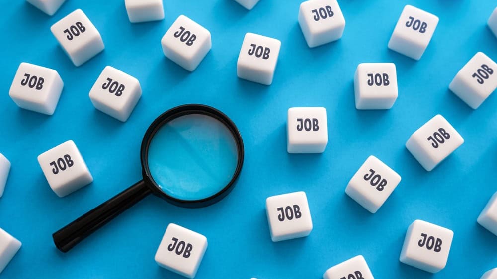 Search for job openings and vacancies. Best offers on the labor market. Find employment. Skills, experiences and qualifications. Applying for a job.
