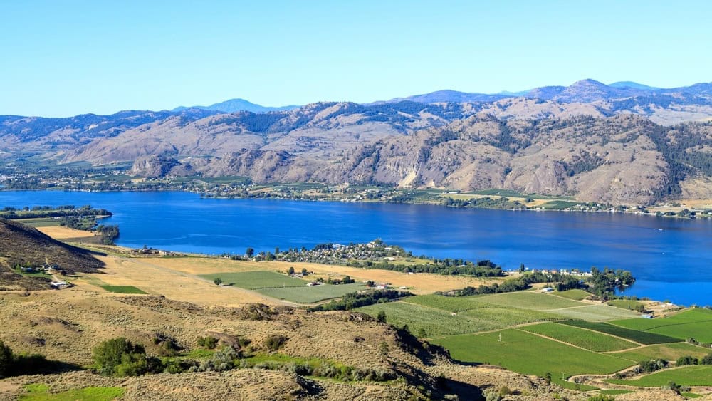 Canadian agricultural landscape aerial of a vineyard in the Okanagan Valley in Osoyoos, British Columbia, Canada.