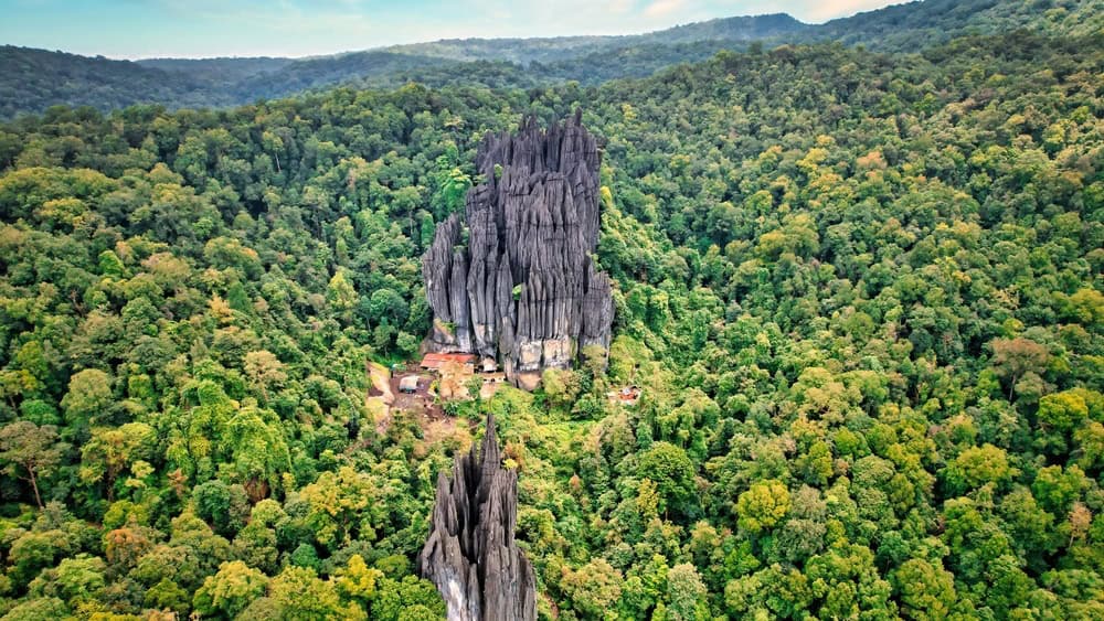 An aerial view of Yana Rocks surrounded by lush green vegetation. Yana, India