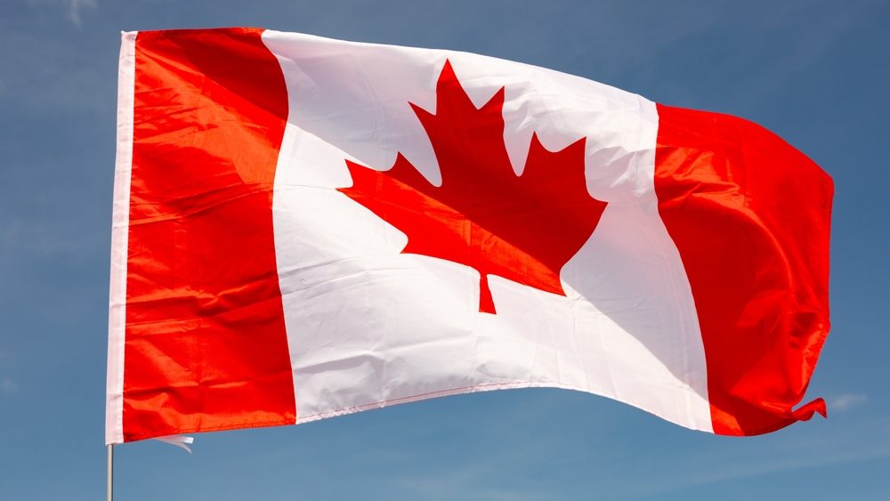 On clear sunny day,national flag of Canada flies against blue sky.Canadian flag is flying on flagpole