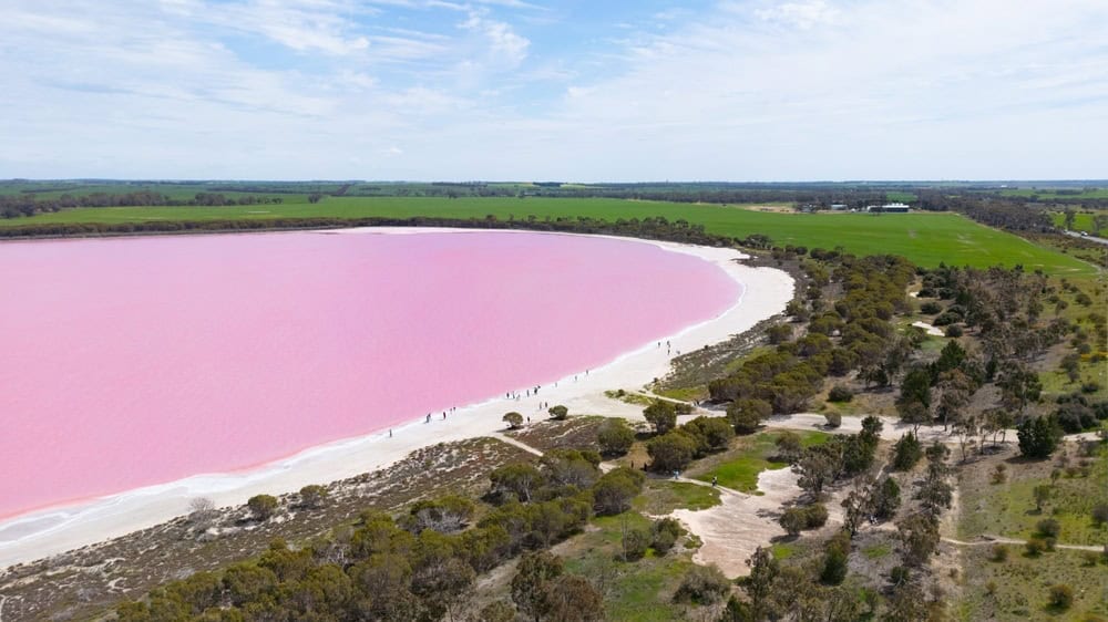 The famous Lake Lochiel, otherwise known as Pink Lake near Dimboola on a warm spring day near Horsham in western Victoria, Australia