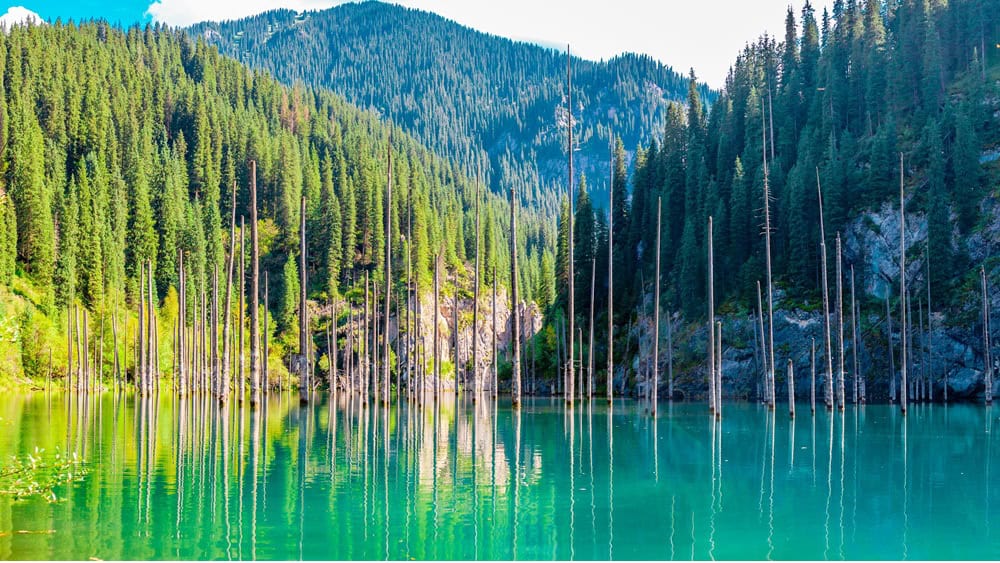 Sunken forest of Lake Kaindy in Kazakhstan. Beautiful mountain natural landscape. A blue lake with tree trunks sticking out of it. Panoramic view of the reserve.