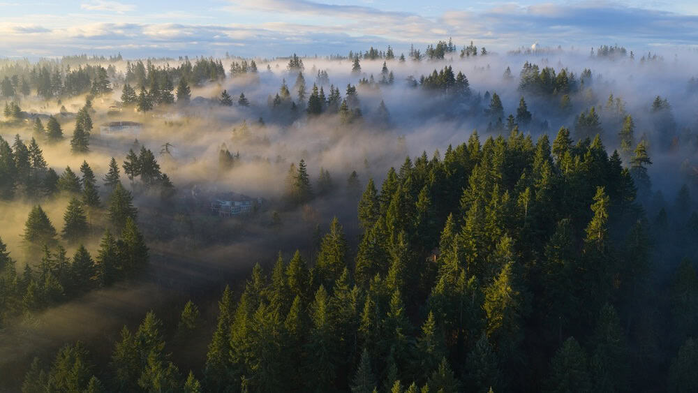 A blanket of fog drifts through the Willamette Valley just south of Portland, Oregon. The Pacific Northwest is known for its scenic forests, waterfalls, and rivers, as well as its wet weather.