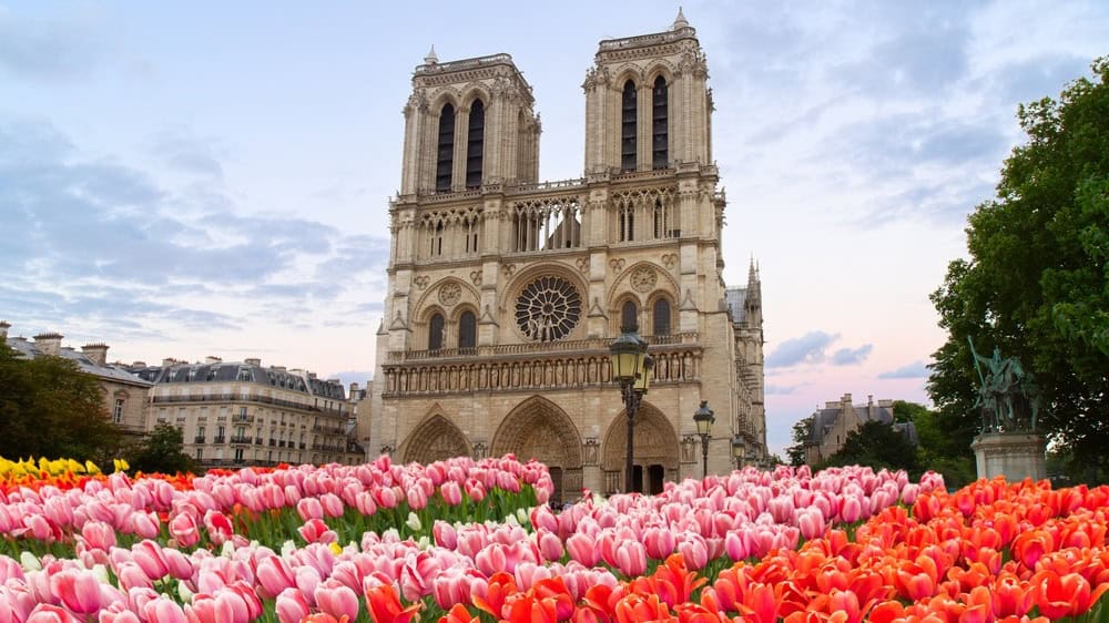 facade of Notre Dame cathedral and river Seine at spting day with flowers, Paris, France