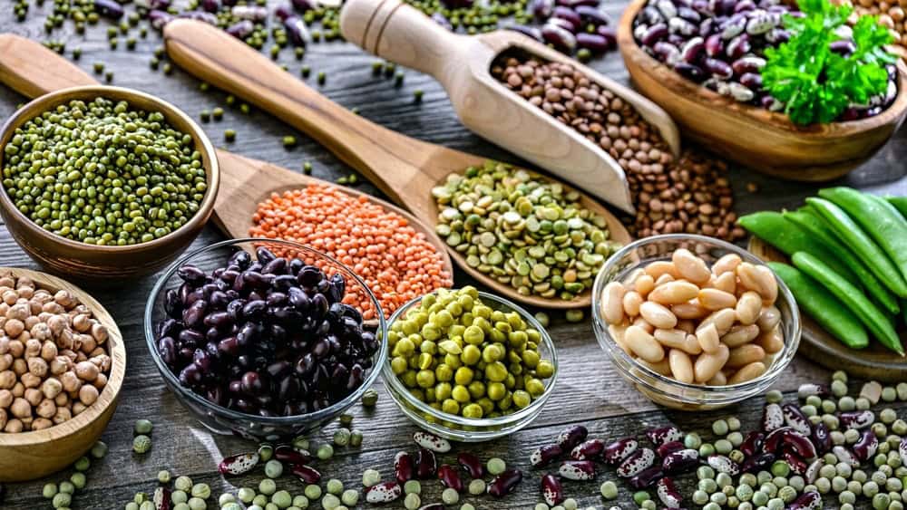 Common legumes that are the basis of plant-focused diets such as the Mediterranean, DASH, vegan, vegetarian and flexitarian