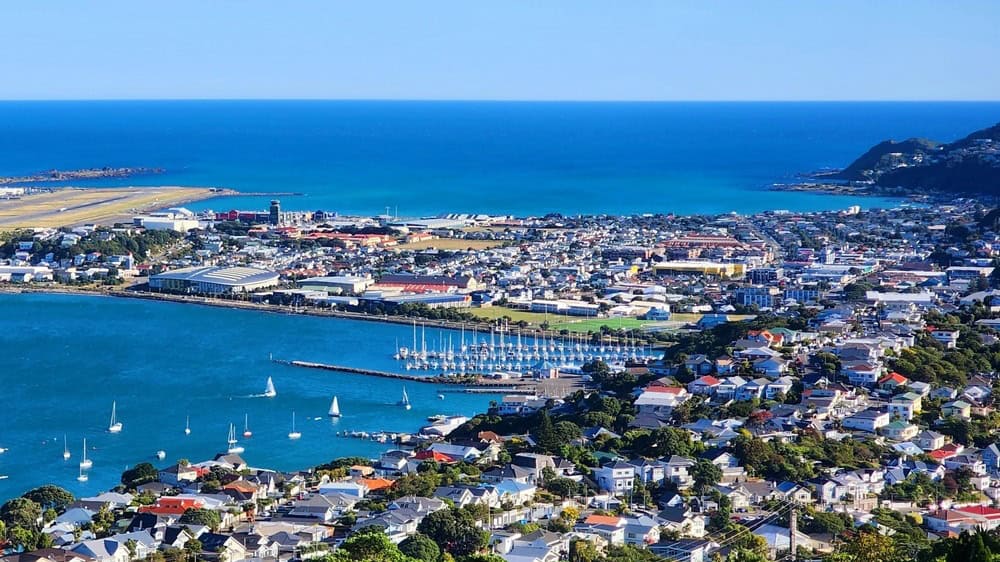 Wellington, New Zealand - 28 January 2025: A Panoramic View of Harbour Scenery, Coastal Suburbs, Airport Runway and the Iconic Elevated Lookout Over New Zealand’s Vibrant Capital City. Mount Victoria Lookout through a cinematic full HD perspective capturing sweeping harbour views, hillside suburbs, the airport runway and the dynamic blend of coastal and urban scenery. This photo highlights panoramic vistas, waterfront districts and the elevated viewpoint overlooking the city and surrounding hills. Suitable for travel, landscape, cityscape and New Zealand‑focused visual projects seeking authentic Wellington atmosphere.