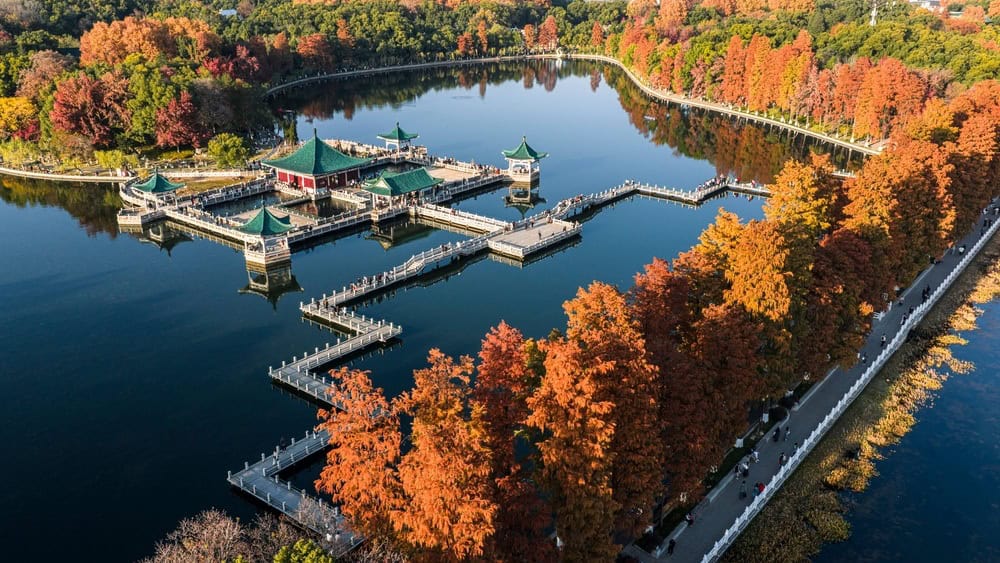 An aerial view captures the stunning autumn scenery of Xuanwu Lake Park in Nanjing, China,