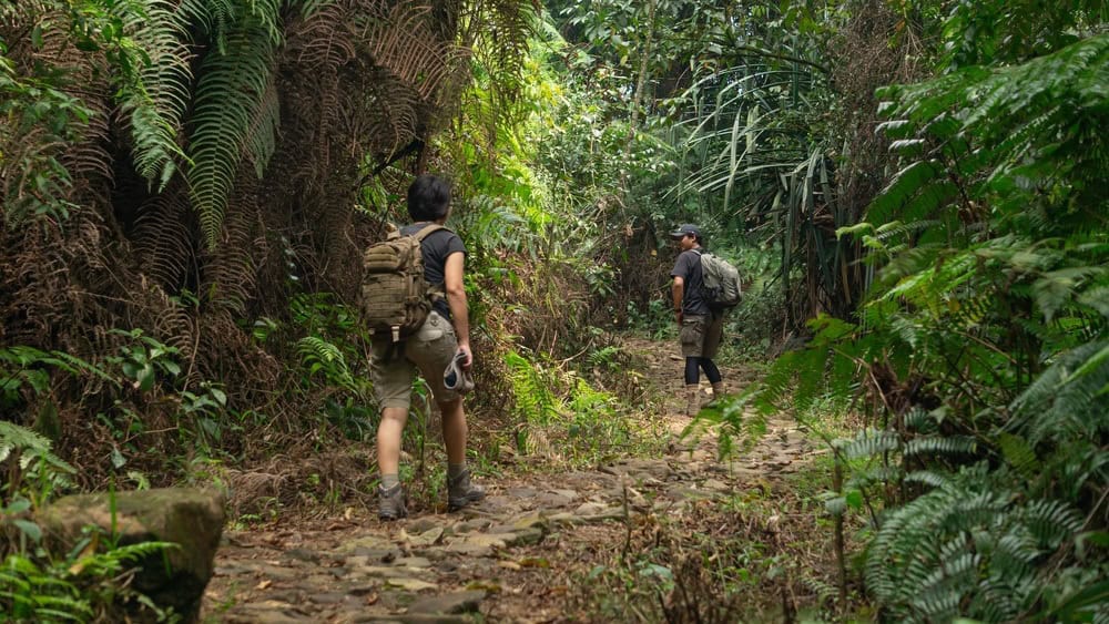 Bogor, West Java, Indonesia - 8 August 2015: Hiker trekking through a lush mountain forest toward Kawah Ratu crater in Bogor, West Java, Indonesia